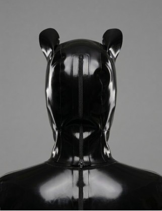 Latex Puppy Hood